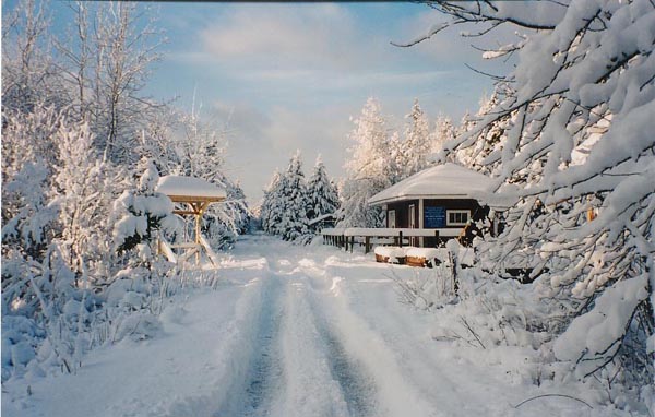 Petain in winter